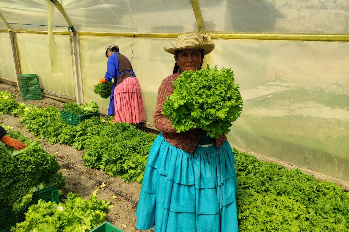 Ch'ama warmi, strong woman: reinforcing Aymara-women's political, social and economic rights in the Bolivian Altiplano