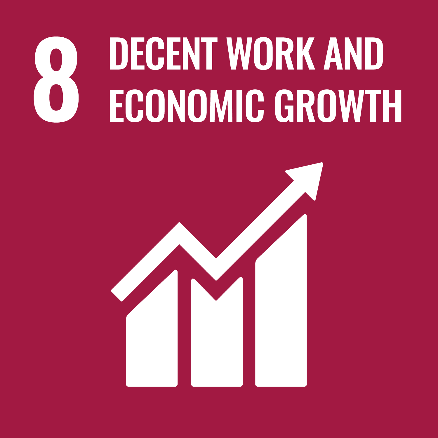 Decent work and economic growth (SDG 8)